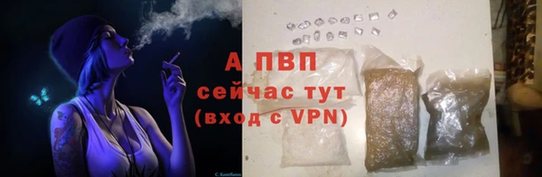 кокс Бикин