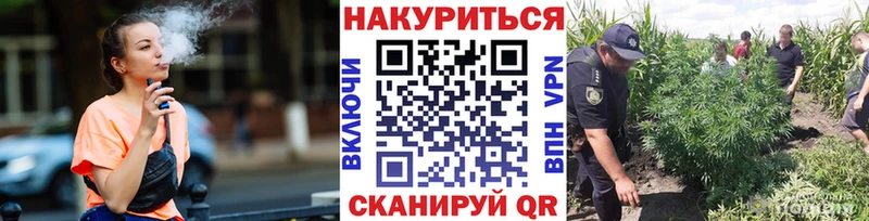 продажа наркотиков  Болохово  Марихуана гибрид 